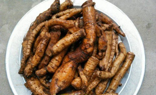 Củ Gai củ gai