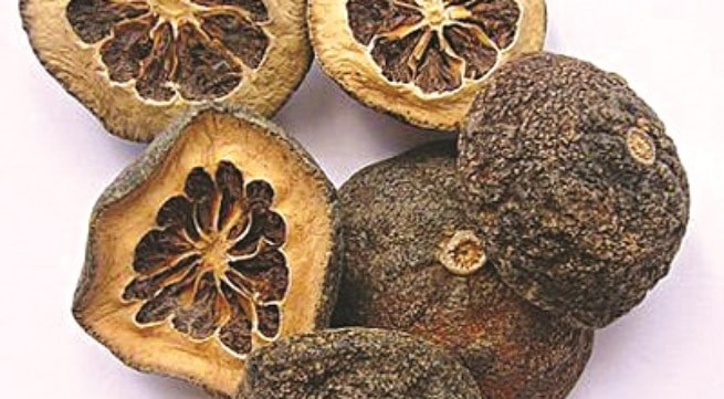 dược liệu Chỉ Xác chỉ xác