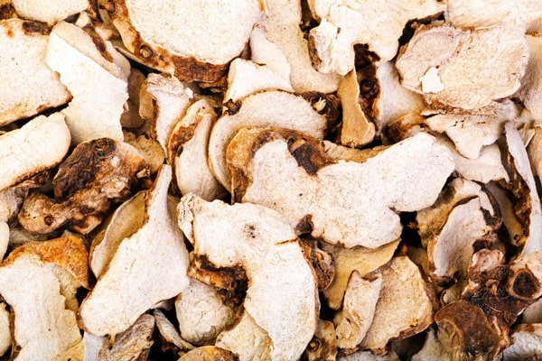 Bạch Truật Bạch Truật