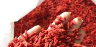 Câu Kỷ Tử ky tu