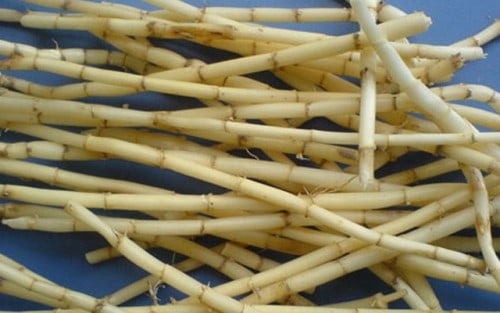 re-co-tranh-e1465095502927 cỏ tranh