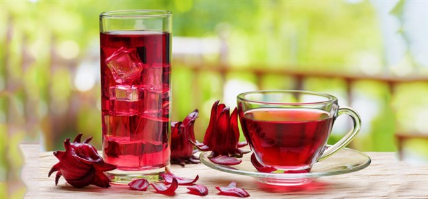 Giải rượu với trà Bụp Giấm Giải rượu với trà Bụp Giấm