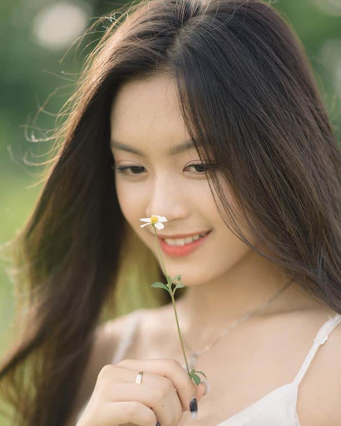 Hoa Vừa Làm Đẹp, Vừa Làm Thuốc Chữa Bệnh hoa kim đơn