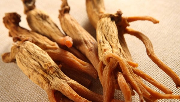 Hồng Sâm hồng sâm