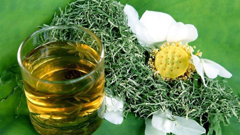 Công dụng tuyệt vời của trà lá sen trà lá sen