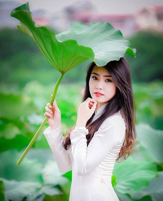 Trà lá sen - Giúp chị em làm đẹp trà lá sen