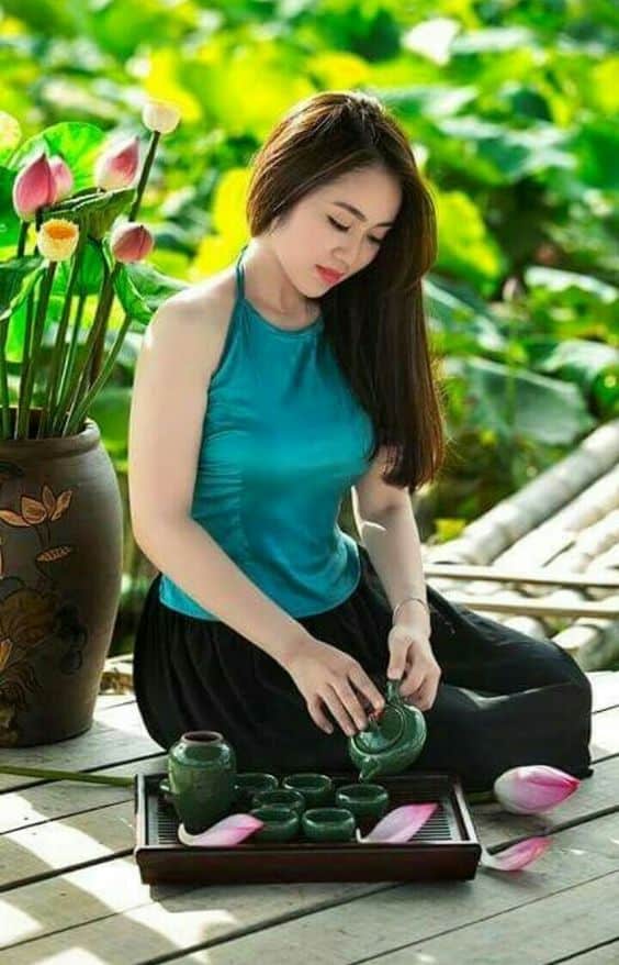 Trà Lá Sen Giúp Chị Em Khỏe Đẹp trà lá sen