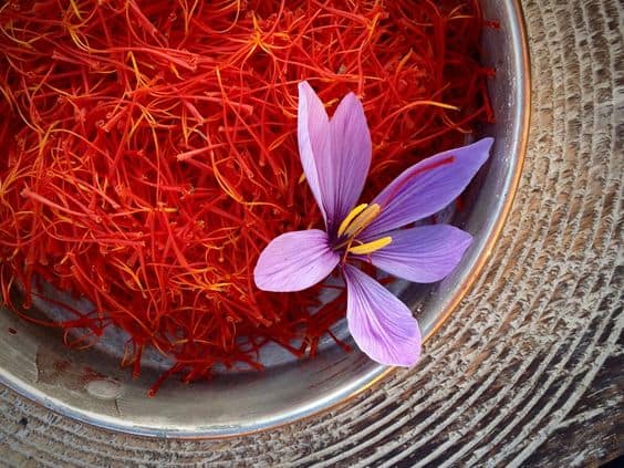 Saffron - Một thảo dược làm đẹp cao cấp nhụy hoa nghệ tây