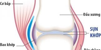 Glucosamine chữa bệnh gì ? Tác dụng & lưu ý khi sử dụng ? glucosamin dieu tri benh viem khop