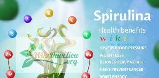 Công dụng & Cách dùng Tảo Spirulina cong dung spirulina