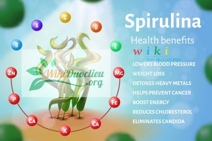cong dung spirulina cong dung spirulina