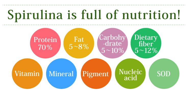 While synthetic supplements have only major ingredients for several kinds, Spirulina 100% has nutrition ingredients abundantly