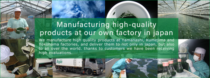 cong-nghe-nuoi-trong-tao-xoan-nhat-ban-9467